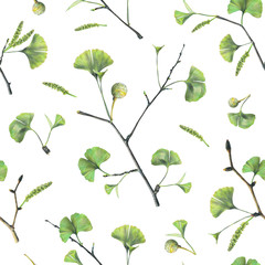 Seamless pattern with green leaves of ginkgo biloba. Hand drawn illustration with colored pencils. Botanical natural design for textiles, interior or some background.