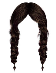 trendy women hairs brunette brown colour .two plaits .  fashion beauty style .