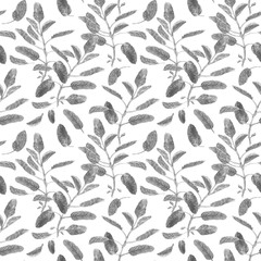  Salvia officinalis or garden sage. Sage branch seamless surface pattern isolated on white background. Monochrome watercolor illustration