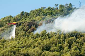 Wall Mural - Forest fire in Provence