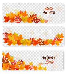 Aufkleber - Set Of Three Autumn Sale Banners With Colorful Leaves on Transparent Background. Layered Vector