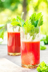 Two glasses of tomato juice homemade from garden organic vegetables