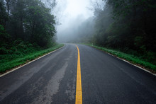 Road In With Nature Forest And Foggy Road  Of Rain Forest.