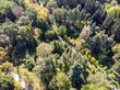 autumn park landscape with colorful bright trees and walking path. aerial photo