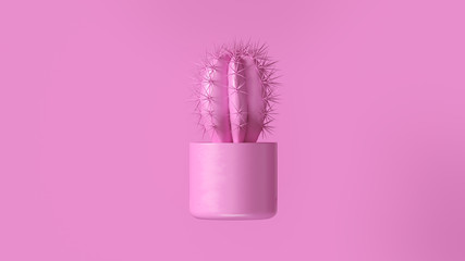 Wall Mural - Pink Cactus with Pink Plant Pot 3d illustration 3d render