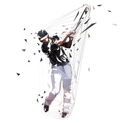 Poster - Baseball player in black jersey swinging with bat, isolated low polygonal vector illustration. Front view