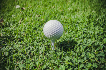 Golf, ball on green grass