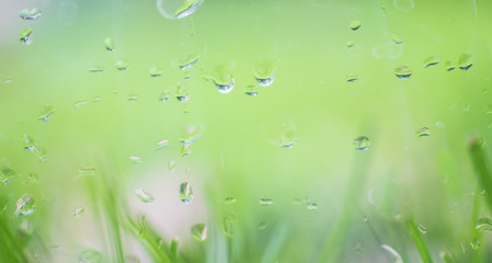 Wall Mural - Rainy autumn weather outside the window