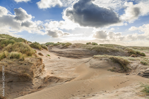 Fotografie, Obraz Dune valleys with deep wind holes carved out by heavy storm with swaying marram