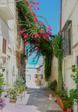 Fototapeta Uliczki - White houses with colored Bougainvillea of Otranto in Puglia