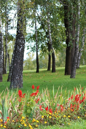 Nature Spring Flower Tree Flowers Park Green Landscape Trees Garden Grass Forest Field Summer Pink Meadow Blossom Season Plant Beauty Autumn Tulip Bloom Red Yellow Stock Photo Adobe Stock