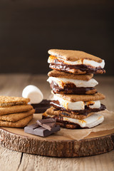 Wall Mural - homemade marshmallow s'mores with chocolate on crackers