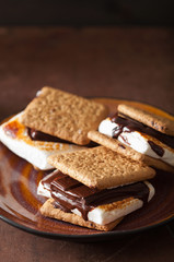 Wall Mural - homemade marshmallow s'mores with chocolate on crackers