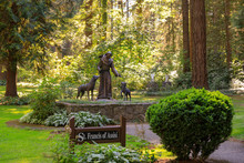 Statue Of St. Francis Of Assisi In The Grotto Park, Portland, Oregon