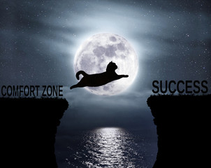 The brave cat jumps over the abyss. Comfort zone. Success. Positive attitude and motivation.