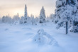 © robertharding - Snow covered winter landscape at sunset, Lapland, Pallas-Yllastunturi National Park, Finland