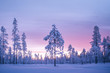 © robertharding - Snow covered winter landscape at sunrise, Lapland, Pallas-Yllastunturi National Park, Lapland, Finland