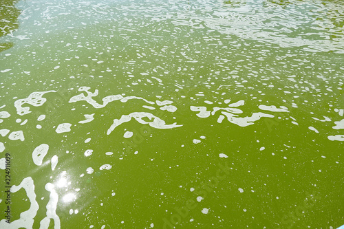 Fotografía fuzzy dirty water, moving in greenish dirty water