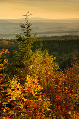Wall Mural - scenic view of blazing trees, forest covered hills in autumn