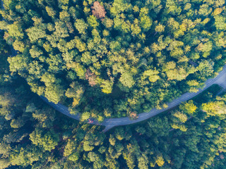 Canvas Print - Aerial view of road through forest in Switzerland