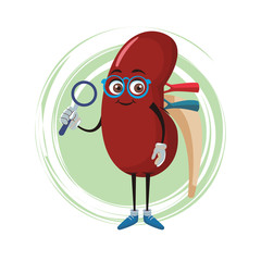 Wall Mural - Kidney funny cartoon