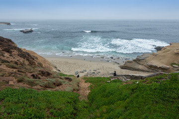 Wall Mural - Pacific Coast