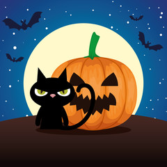 Poster - halloween black cat and pumpkin on night