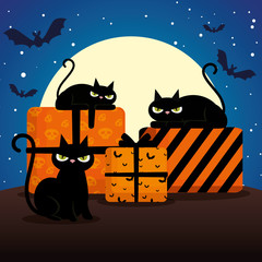 Poster - halloween black cats with gifts on night