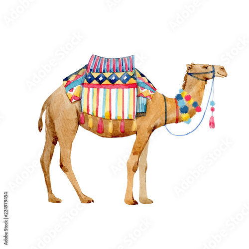Fotomural Watercolor camel illustration