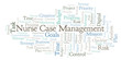 Nurse Case Management word cloud, made with text only.