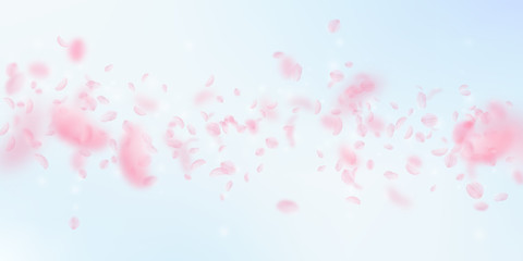 Sakura petals falling down. Romantic pink flowers falling rain. Flying petals on blue sky wide backg