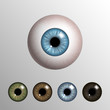 Vector realistic 3d human eyeball with natural colored iris set on light background