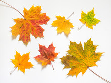 Autumn Composition Of Yellow Maple Leaves On White Background. Flat Lay, Top View, Copy Space