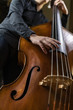 A person playing a double bass