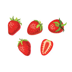 Wall Mural - A set of ripe strawberries. Vector illustration