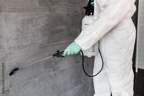 Cuadros en Lienzo Exterminator in work wear spraying pesticide with sprayer.