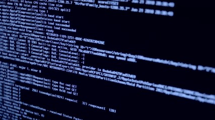 System Loading Process Begin BLUE