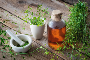 Wall Mural - bunch of shepherds purse, bottle of tincture or potion, mortar of bursa pastoris medicinal herbs and