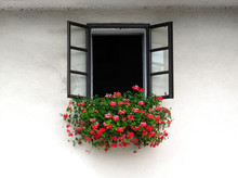 Open Window Decorated With Beautiful Bright Geranium Flowers