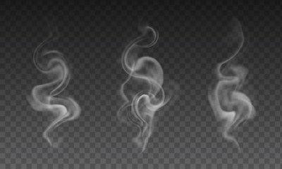 vector set of realistic transparent smoke effects