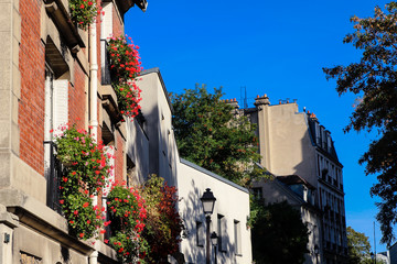 Wall Mural - Nice Montmartre street in Paris with flowers