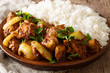 © FomaA - Chicken do pyaza (dopiaza) recipe with onion with garnish of rice close-up. horizontal