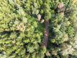 countryside landscape scene. deep green forest and country road aerial view