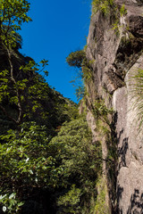 pine trees grow inside gaps between two rocks on the mountain top under blue sky