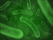 Bacteria biological concept. Micro probiotic lactobacillus green scientific abstract background