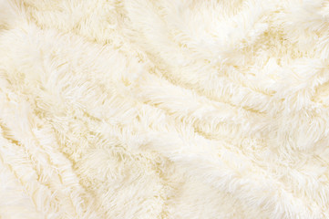 Shaggy fur texture