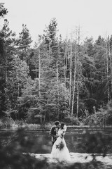 Wall Mural - Portrait of an attractive back bride embraces and groom kissing her . Wedding ceremony. Newlyweds getting married in the forest. Black and white photo.