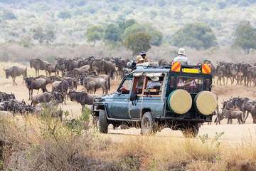 photographers shooting wildebeest in the masai mara