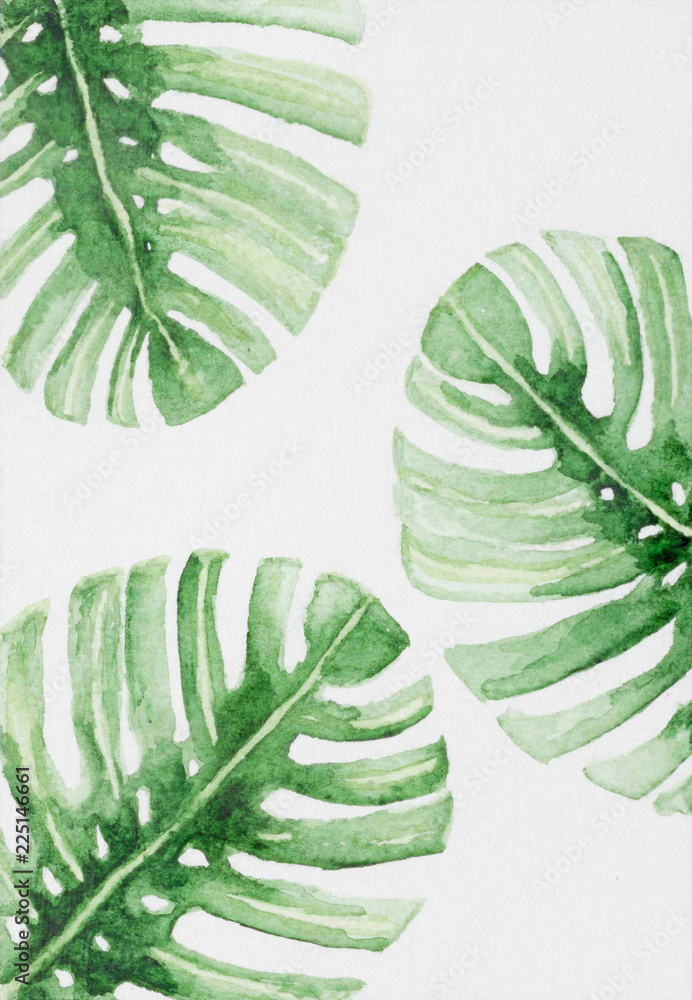 Foto-Kissen premium - Hand painted abstract watercolor leaves of monstera plant.