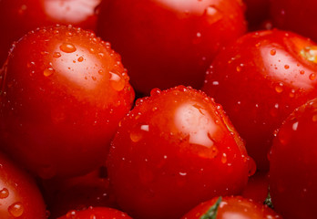 Closeup of a pile of wet cherry tomatoes